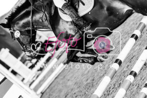 Zbrosławice  2026-03-20 – 2026-03-22