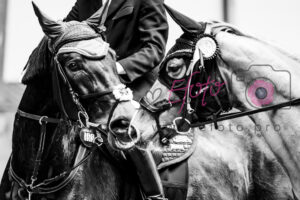 Radzionków  2026-03-14 – 2026-03-15