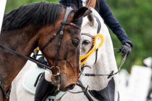 EQUIKA SARNÓW 2026-05-16 – 2026-05-17